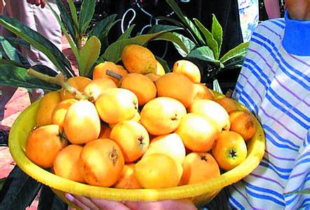  地方特產的戰略機遇來了!一號文件背后的大特產觀