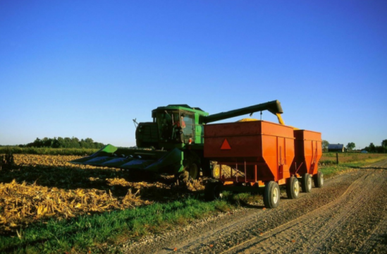 三農日報|政策：支持流通企業發力農產品供銷對接；數據：玉米收購持續漲價