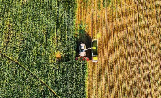 三農日報|政策：培育國際農產品加工產業園；業內：建設中國全球大糧商