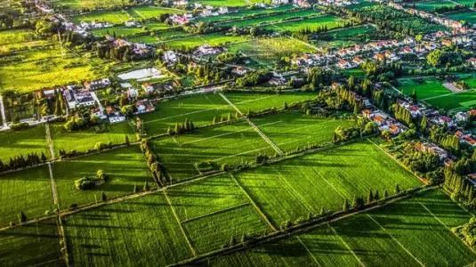 新東方入局農產品直播帶貨，農業未來“錢”景可期！