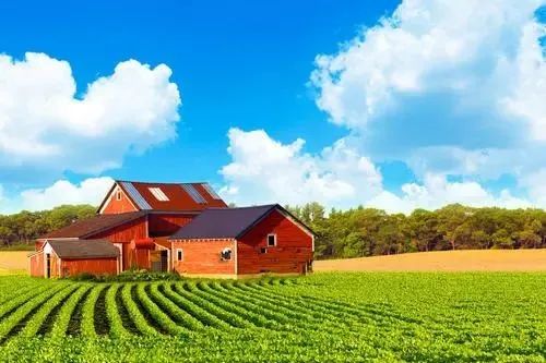 【專家解讀】周其仁：頂級農產品帶來的收入不亞于其他任何行當