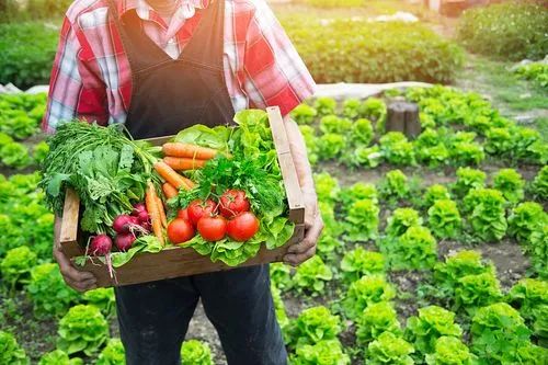 【年終盤點】2021中國農(nóng)產(chǎn)品電商十大熱點事件發(fā)布