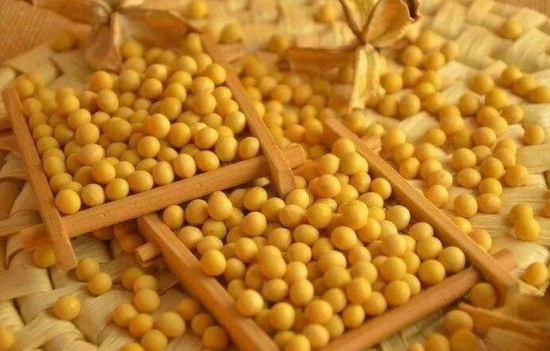 三農(nóng)日報|政策：逐步推動大豆玉米兼容發(fā)展；共享農(nóng)業(yè)模式：可以溢價農(nóng)產(chǎn)品數(shù)十倍