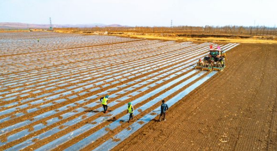 三農(nóng)日報|政策：加強農(nóng)產(chǎn)品供需數(shù)字化銜接；業(yè)內(nèi)：數(shù)字經(jīng)濟推動鄉(xiāng)村產(chǎn)業(yè)轉(zhuǎn)型