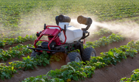 三農(nóng)日報|政策：強化農(nóng)業(yè)科技創(chuàng)新供給；業(yè)內(nèi)：功能性農(nóng)產(chǎn)品產(chǎn)業(yè)待規(guī)范