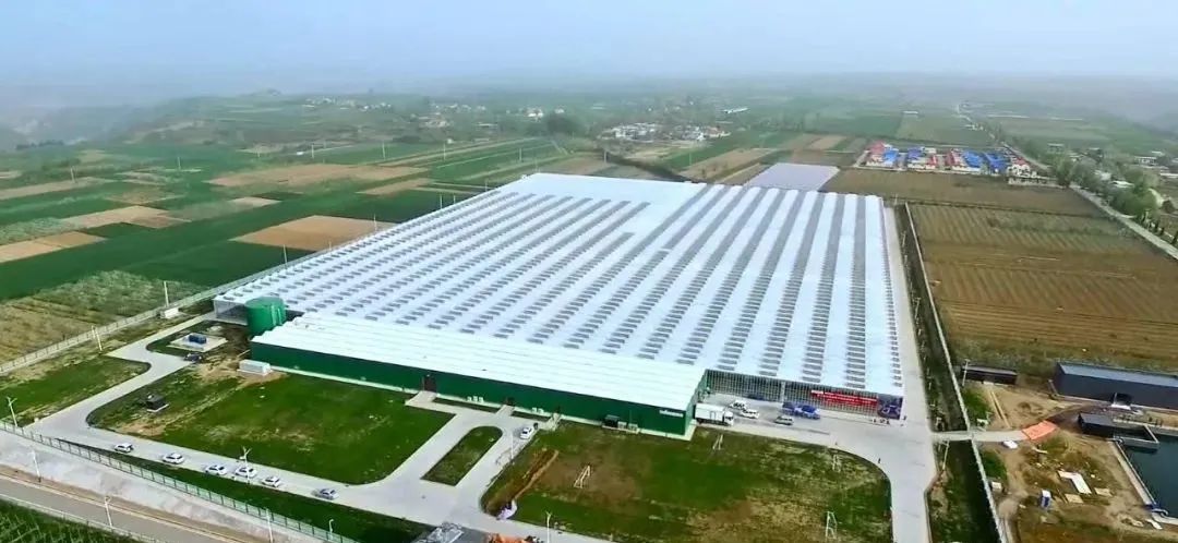 【聚焦新賽道】農(nóng)產(chǎn)品倉儲保鮮-冷鏈設施的設計與建設