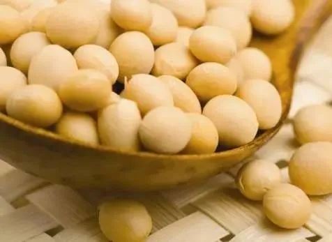 【干貨知識】做大豆產業鏈，這12大知識必須爛熟于心