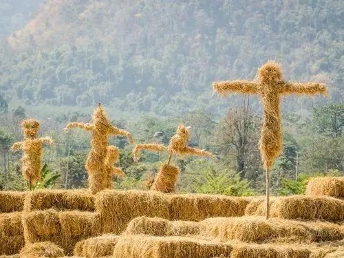 【農業模式】秸稈可以創造更多價值！