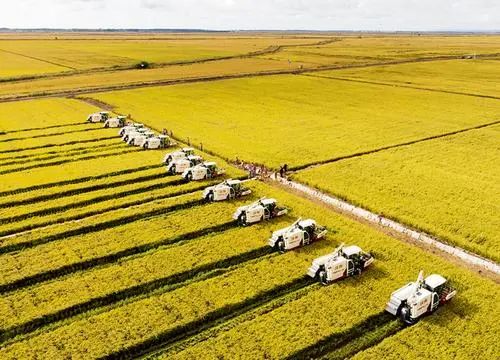 【案例剖析】如何打造農(nóng)業(yè)全產(chǎn)業(yè)鏈？看這3個典型案例