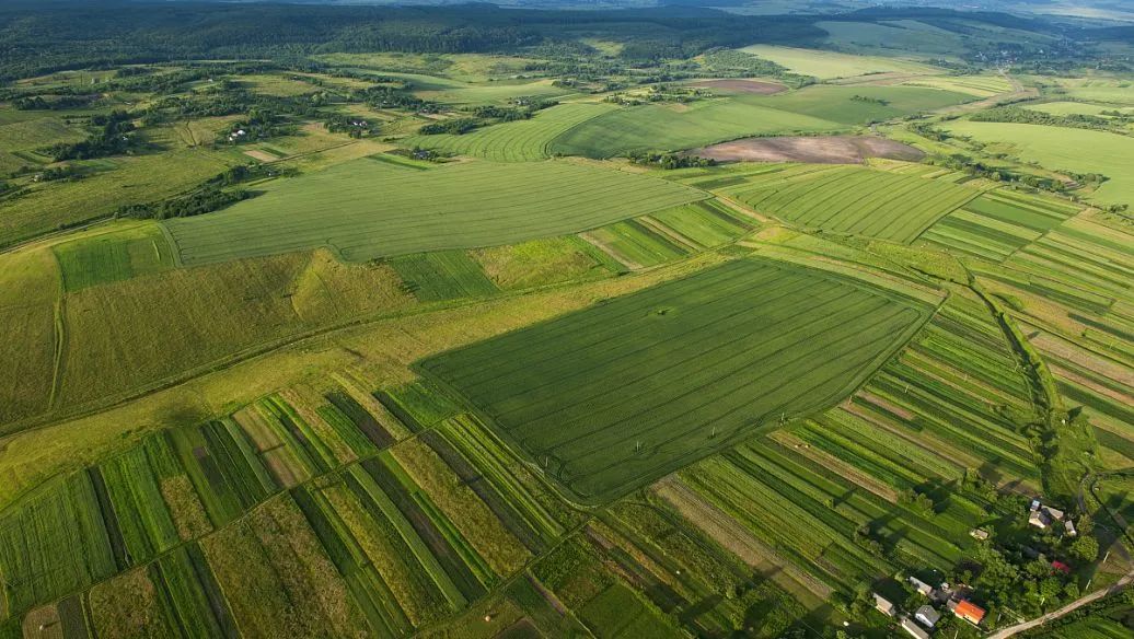 【鄉(xiāng)村振興】未來5年，是農(nóng)業(yè)品牌建設(shè)的“機(jī)遇期”！