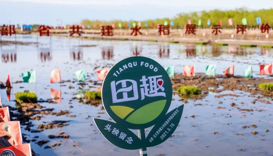 【商業(yè)案例】永輝超市發(fā)力田趣大米自有品牌