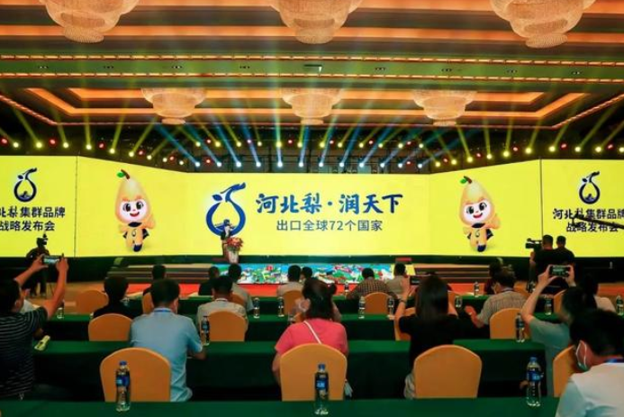 福來(lái)操刀！助推產(chǎn)業(yè)發(fā)展，“河北梨·潤(rùn)天下”河北梨集群品牌式發(fā)布