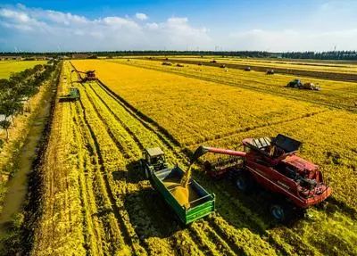 2022年中國500最具價值品牌重磅出爐！北大荒、新希望、首農、溫氏紛紛上榜！