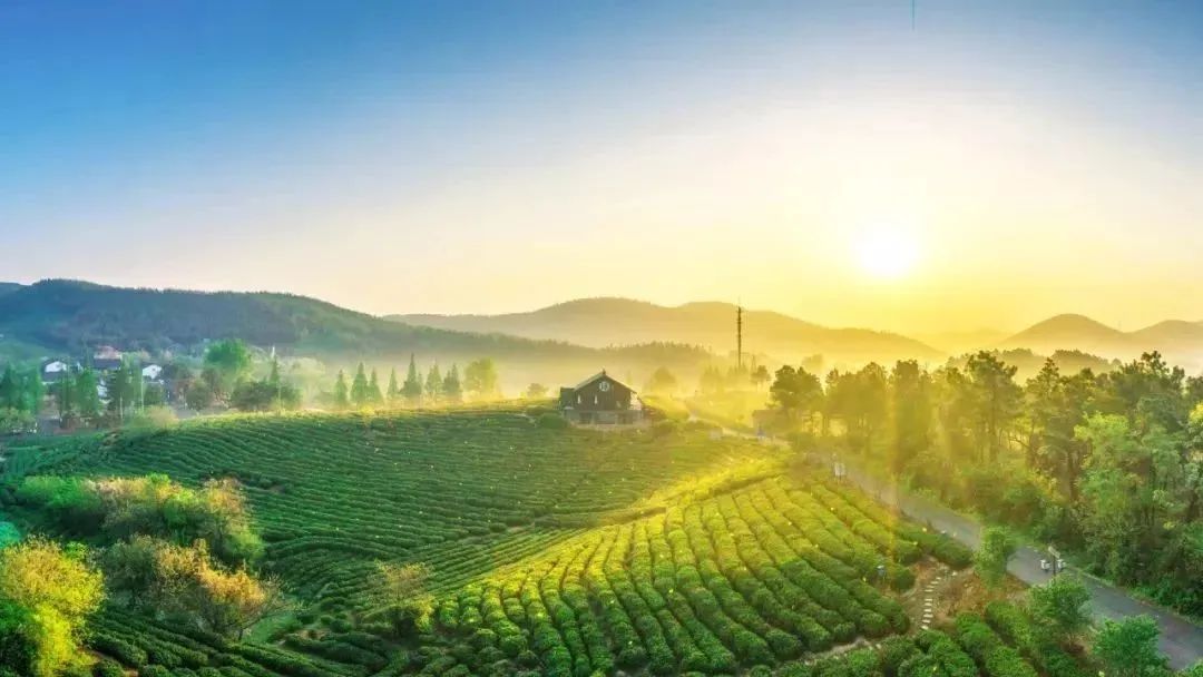 【一村一品】我國“一村一品”正朝著集約化、品牌化方向發(fā)展