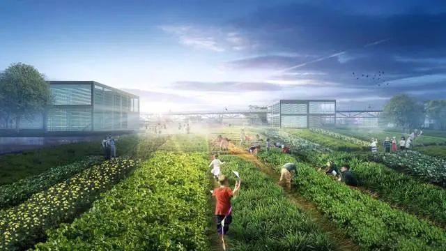 【政策匯總】國家支持支持脫貧地區(qū)打造區(qū)域公用品牌