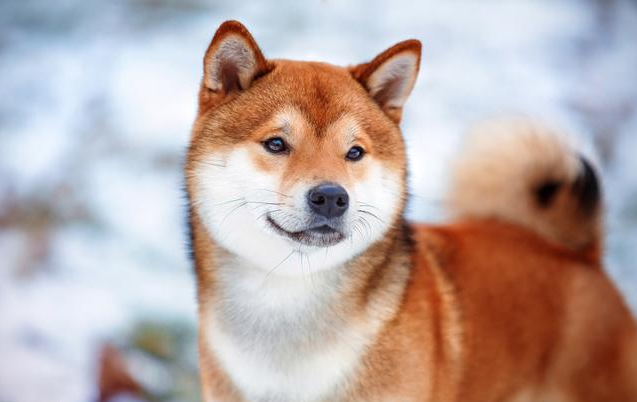 沒有營銷，只有人性！人生就一個字：賣