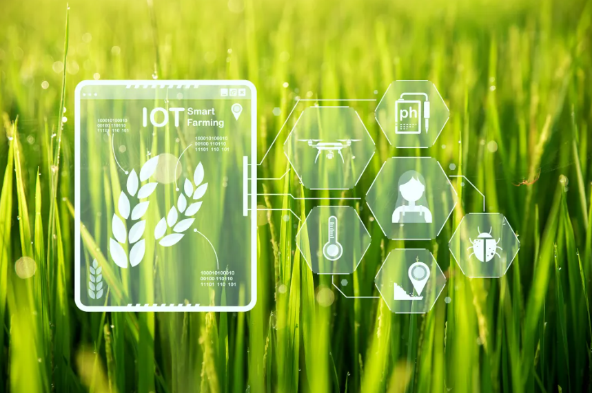 數字農業創新典型案例——淘菜菜、京東農場