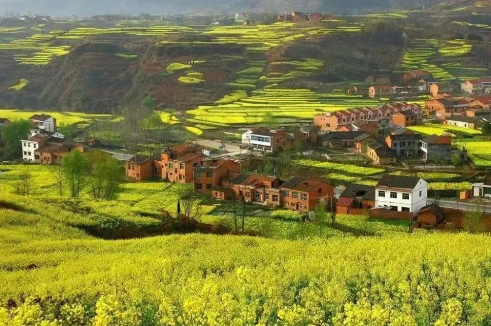 深度分析|我國數字鄉村建設的重點、難點及方向