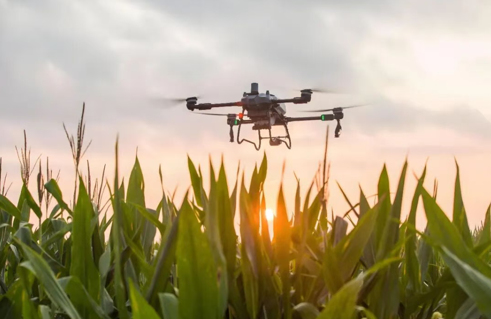 【智慧農業】《智慧農業標準體系建設指南》發布（附全文）