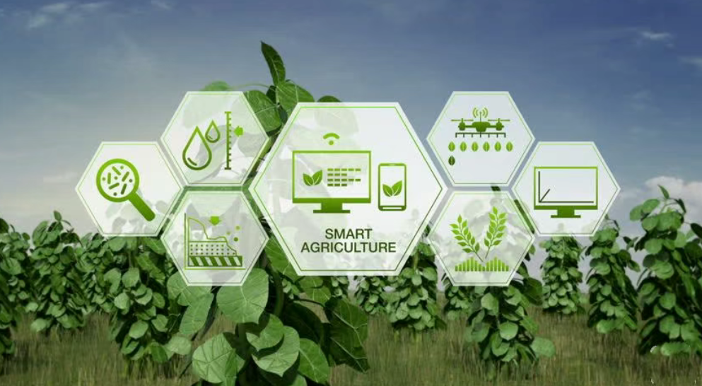 深度分析！中國數字農業“向左走還是向右走”