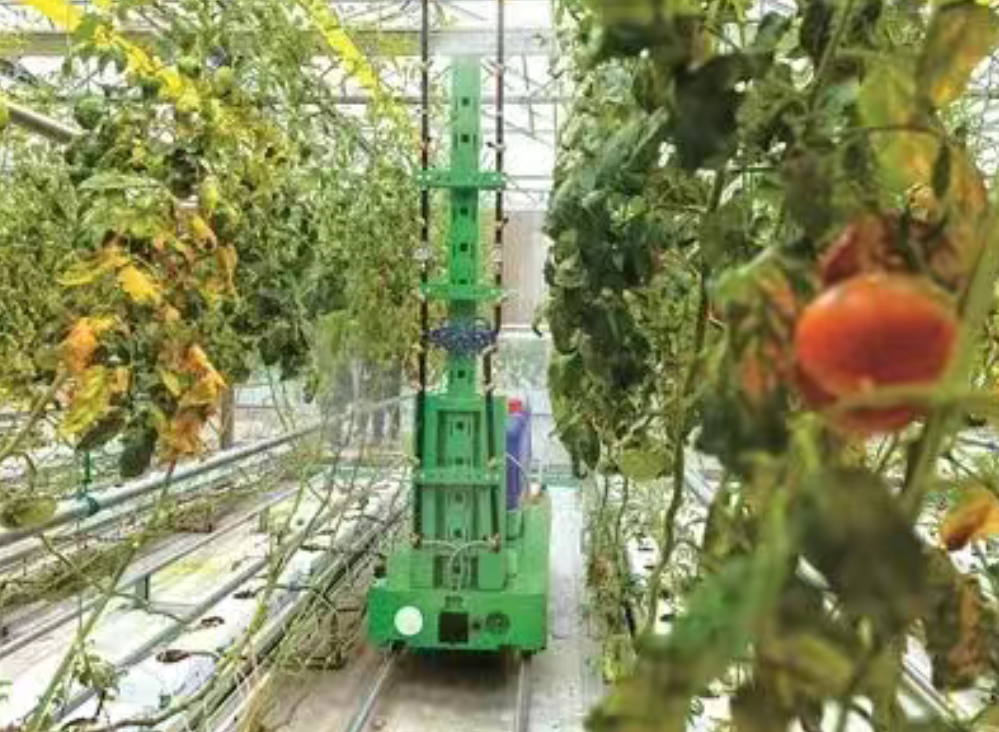 【數(shù)字農(nóng)業(yè)案例】無人農(nóng)場催生新職業(yè) 圈粉年輕人重返田間