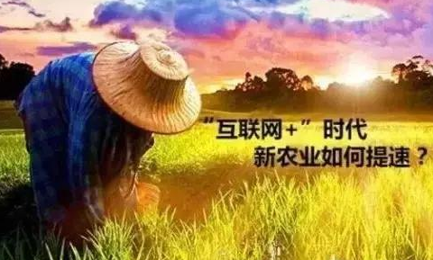 互聯(lián)網(wǎng)附體后，中國農(nóng)業(yè)會如何蛻變？