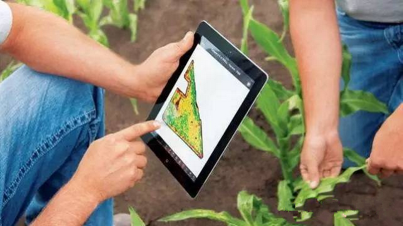 互聯網，讓現代商業騰飛，讓傳統農業收益