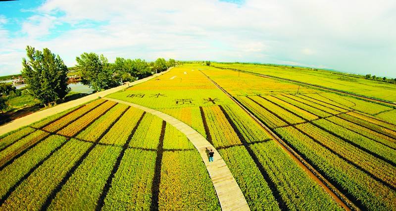 一周回顧｜農業產業十大事件盤點：資本運作成為農業大佬的游戲