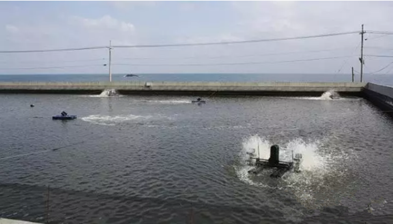 行業觀察｜智慧水產：互聯網在水產產業發展過程中的應用和目前存在的不足