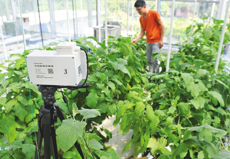 “互聯網+農業“深度融合的對策思考