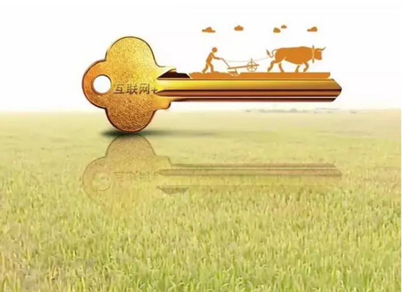 “互聯網+農業”大有可為，但有四大問題不容忽視