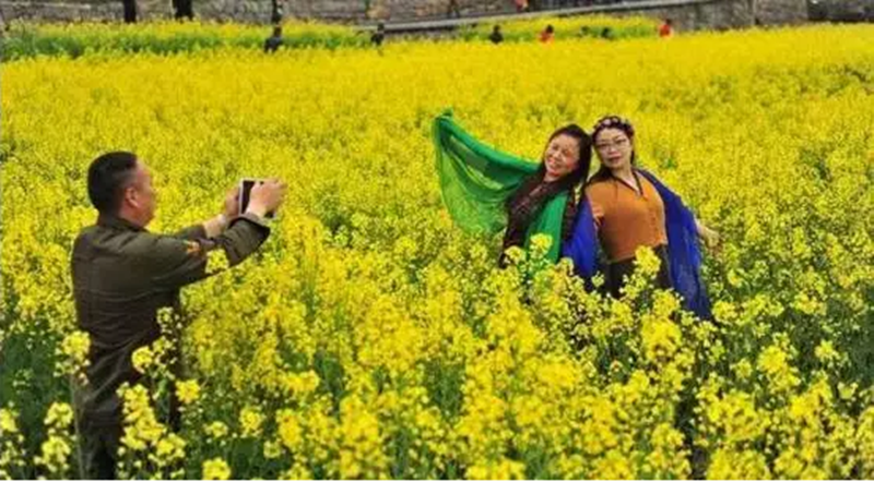 互聯網+農業+鄉村旅游！國家發文明確鄉村旅游升級新方案