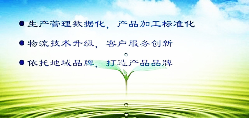 “互聯網+現代農業”求發展，品牌效應要先行