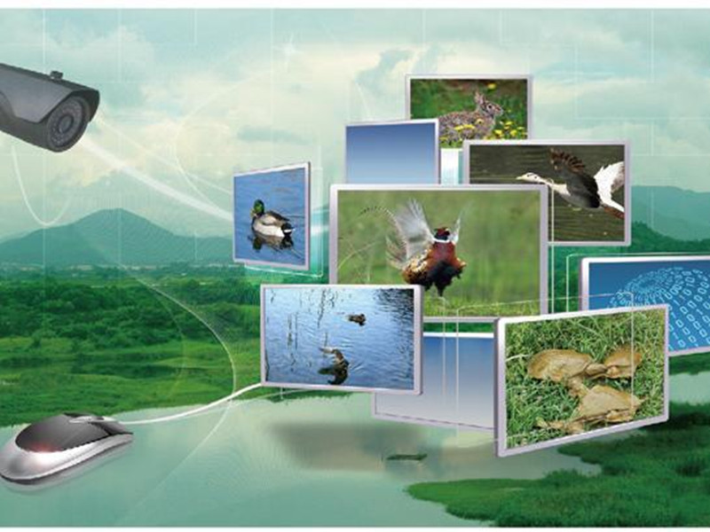 十萬億互聯網農業市場，你將是下一個“馬云”！