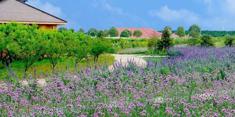 三農日報|大北農40億布局農業一體化；互聯網農業的誤區如何避免？