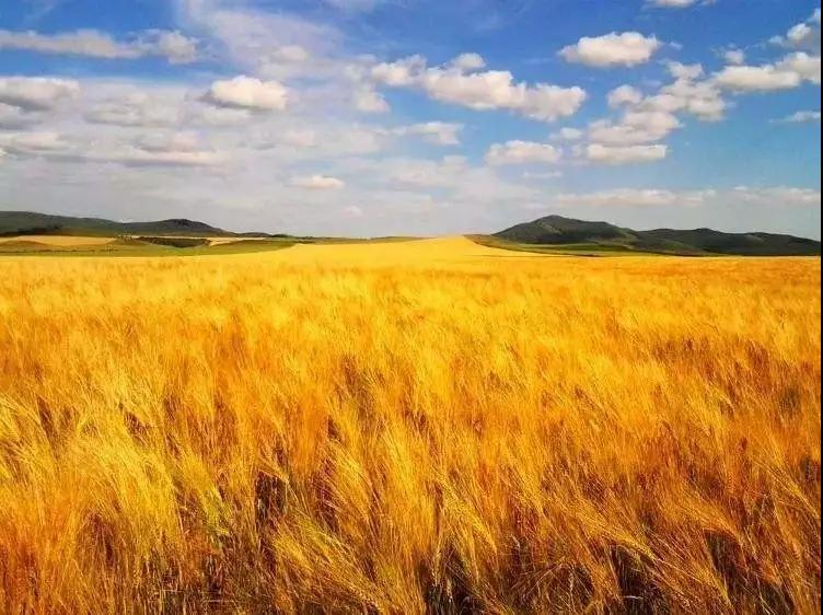 做農業就是“圍城”，2018年農業該怎樣經營？