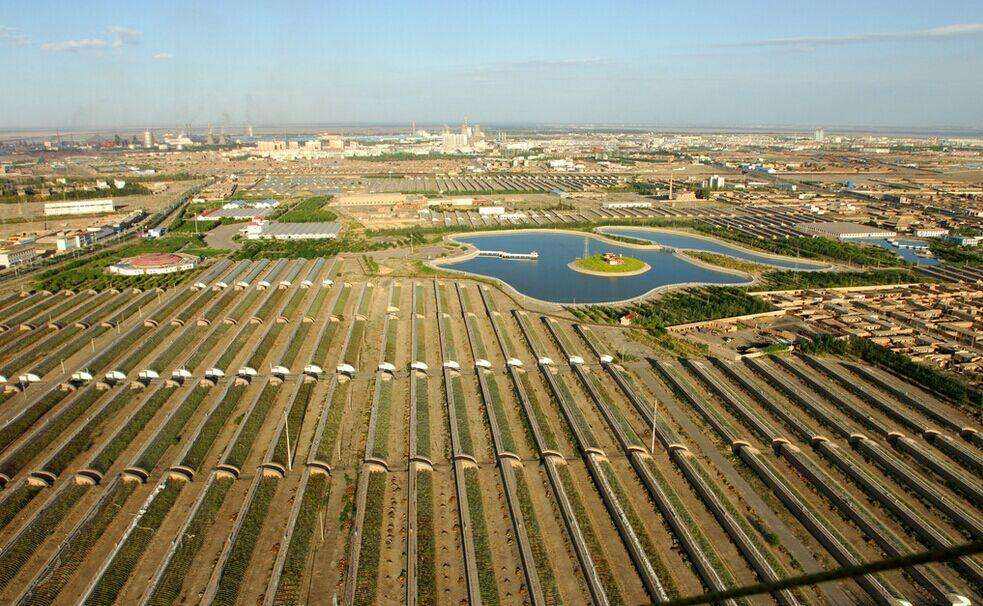 農業火爆了！但劉強東、馬云、馬化騰布局農業，誰是認真的？