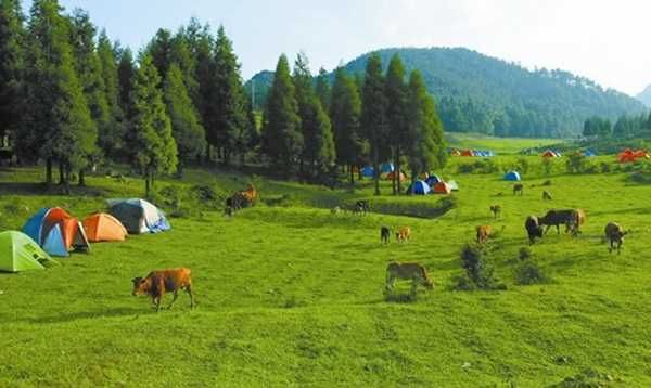 案例|借互聯網打造休閑農莊，他的成功可復制！
