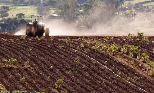 觀點|只有產業互聯網才能“救”中國農業