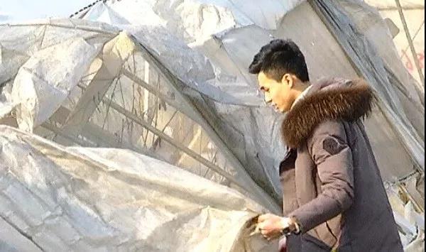 案例|看90后如何用互聯網淘金農業（有干貨）