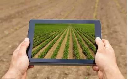 銳觀察|中國農業有哪些道路？怎么走？