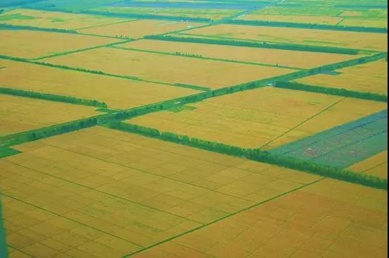 大預測|數字農業，下一個金礦！