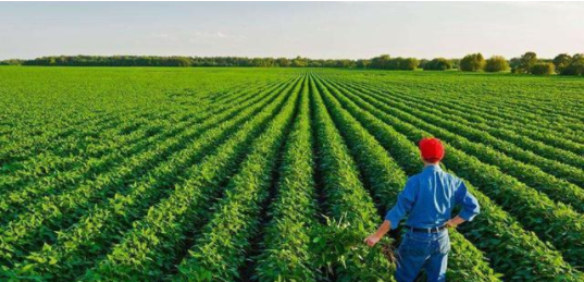 未來農業7大發展方向