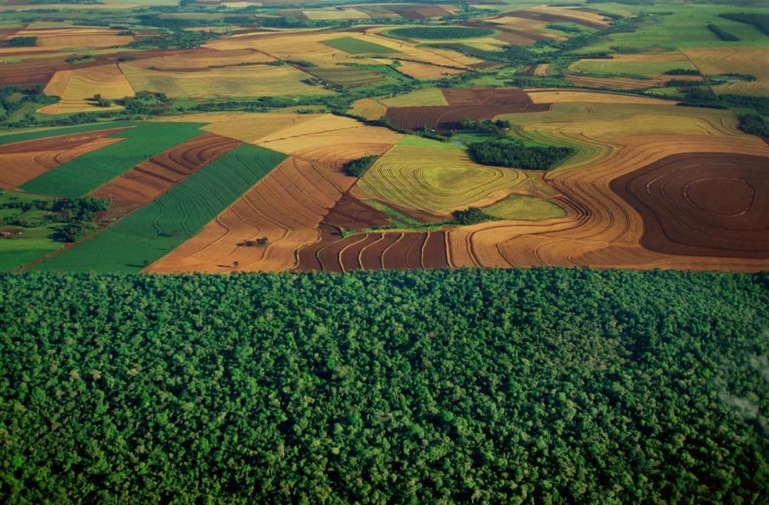 警惕!做農業的四大誤區，當心賠光...