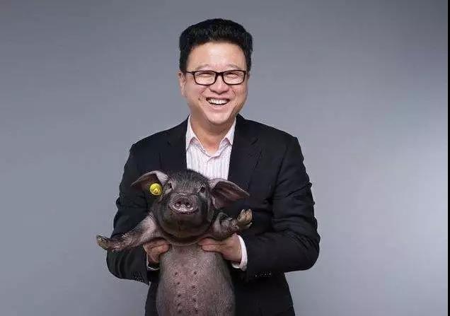 互聯網養豬|網易丁磊的“豬廠”又有新動作...