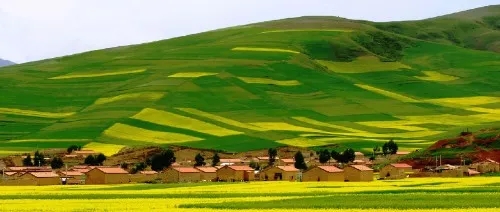 中國農業政策發展方向的10個關鍵詞