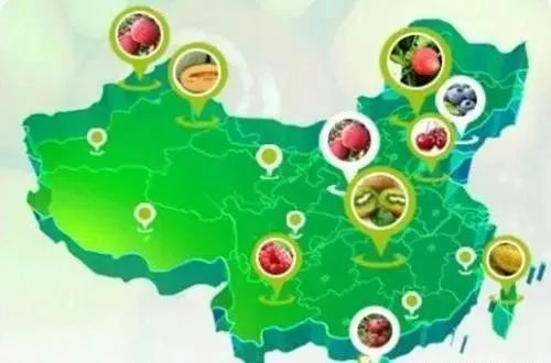 阿里拼多多們真能改變農業么？