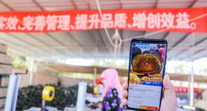 阿里的農業版圖又雙叒叕擴大了！