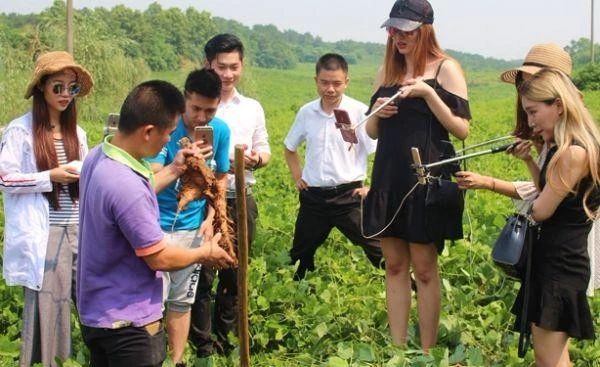 互聯網農業沖擊波|來伊份要聯手阿里巴巴賣空一個縣？