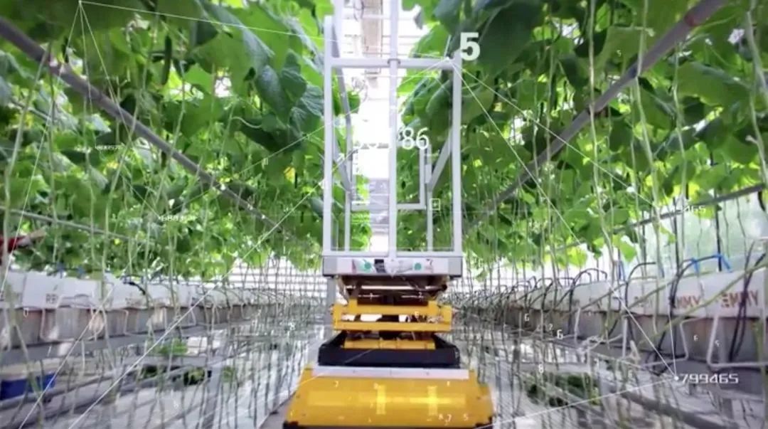 【農業趨勢】5G對農業意味著什么